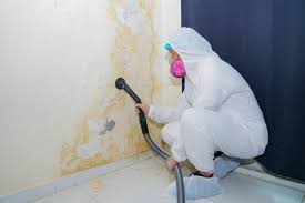 Best Commercial Mold Inspection  in Oglala, SD